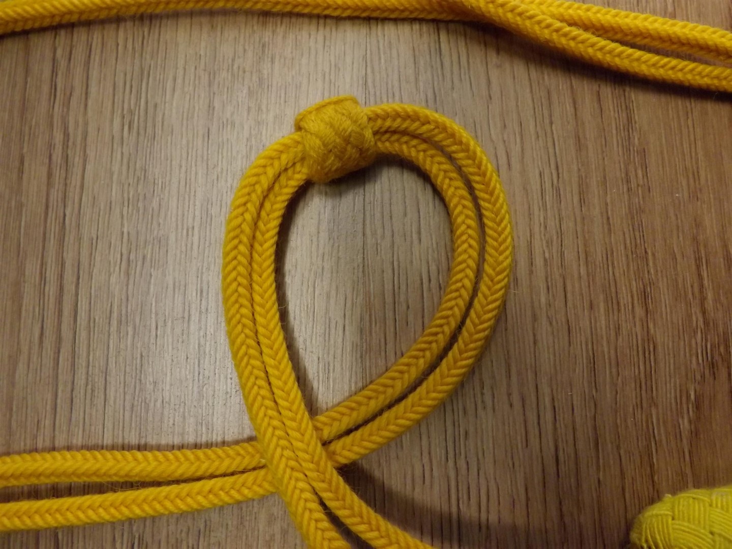 Busby cords RHA 007.JPG